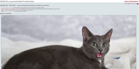Russian Website IMGSRC.ru Used by US Soldier to .